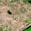 Terrains de 1000 m² à vendre à Saly thumb 2
