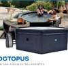 SPAS SEMI-RIGIDES OCTOPLUS - 193 X 73 -  4 A 6 PLACES thumb 0