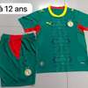 Nouveau maillot du Sénégal 2026/2027 thumb 0