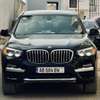 BMW X3 2019 thumb 0
