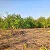 𝐕𝐞𝐫𝐠𝐞𝐫 𝐝𝐞 1 𝐡𝐞𝐜𝐭𝐚𝐫𝐞𝐬 6000m2 𝐞𝐧 𝐩𝐥𝐞𝐢𝐧𝐞 𝐩𝐫𝐨𝐝𝐮𝐜𝐭𝐢𝐨𝐧 thumb 7