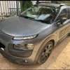 C4 Cactus 2015 thumb 2