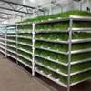 Vente de plateaux Hydroponic thumb 2