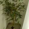 Decoration a vendu thumb 1