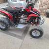 Quad Shanera 300 thumb 0