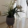 Pots de fleurs thumb 1