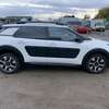 C4 Cactus thumb 7