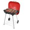 Barbecue de charbon thumb 5