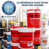 Rugoplast peinture satinée extra intérieur extérieur thumb 1