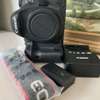 Canon 5d Mark 4 ( Dispo) thumb 3