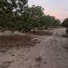 Terrain de 7 Hectares Plats et Arborés à bambilor thumb 3