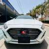 Hyundai sonata Année 2018 thumb 0