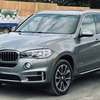 Bmw X5 2017 7 Places thumb 2