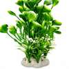 Plante thumb 2