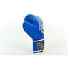 Everlast Gants de boxe Professionnel thumb 6