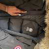 Canada goose thumb 4