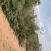 4500 m² à vendre à Saly center à Mbour sur la petite côte thumb 11