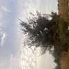 2000 m2 Malika premier position thumb 4