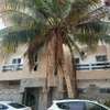 APPARTEMENT F3 AUX MAMELLES thumb 7