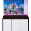 Aquarium thumb 2