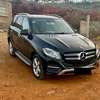 Gle 350 thumb 1