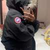 Canada goose thumb 0