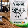 Aliments bétail YAFAL thumb 1