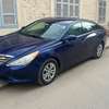 Hyundai Sonata clean thumb 6