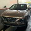 Hyundai Santa Fe 2019 Marron thumb 0