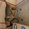 Berger malinois thumb 1