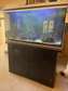 Aquarium 75x120x50 avec meuble