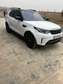 Range Rover Discovery sport 2020