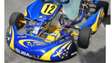 Karting rotax 125