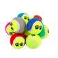 1 Balle de Tennis Flexibles en Caoutchouc pour Chien