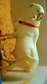 Mouton AZAWAD