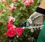 Outils de jardin + paire de gant