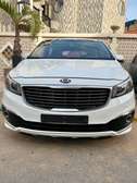 KIA CARNIVAL 2016, 9 places