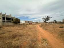 TERRAIN A VENDRE SINDIA TRES ACCESIBLE