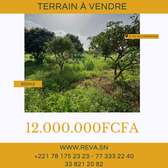 TERRAIN À VENDRE À DIEMBERING/ZIGUINCHOR