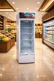REFRIGERATEUR ELACTRON VITRINE VERTICAL ELSWC198PM