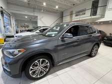 BMWX1