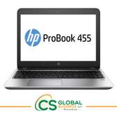 HP PROBOOK 455 G1 | AMD