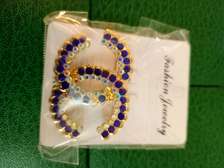 Broches et boucles d'oreilles