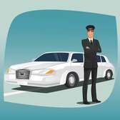 Chauffeur Professionnel / Particulier