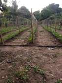 LIVRAISON FRUIT LEGUME ENGRAIS SEMENCE CAMION FRIGO 20M3
