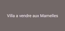 Villa a vendre aux Mamelles