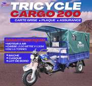 Moto Tricycle Bagages