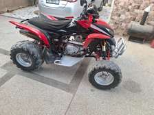 Quad Shanera 300