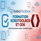 Formation Kobotool Box, Logiciel de collecte de données