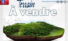 Terrain à vendre au Mamelles.